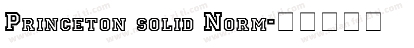 Princeton solid Norm字体转换